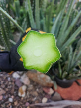 Load image into Gallery viewer, Tucson Fats Mid Cut