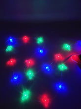 Load image into Gallery viewer, Cactus Lights