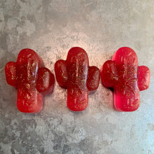 Load image into Gallery viewer, Cactus Magnets - Set of 3