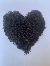 Load image into Gallery viewer, Grandiflorus OP Seeds - 100 OR 300 Count